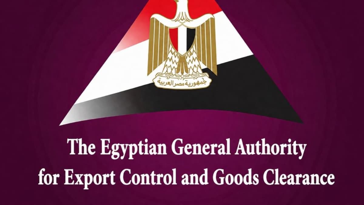 Egypt Climbs Five Places in Global Entrepreneurship Index 2025/2026