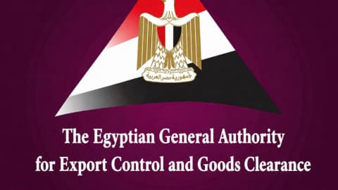 Egypt Climbs Five Places in Global Entrepreneurship Index 2025/2026
